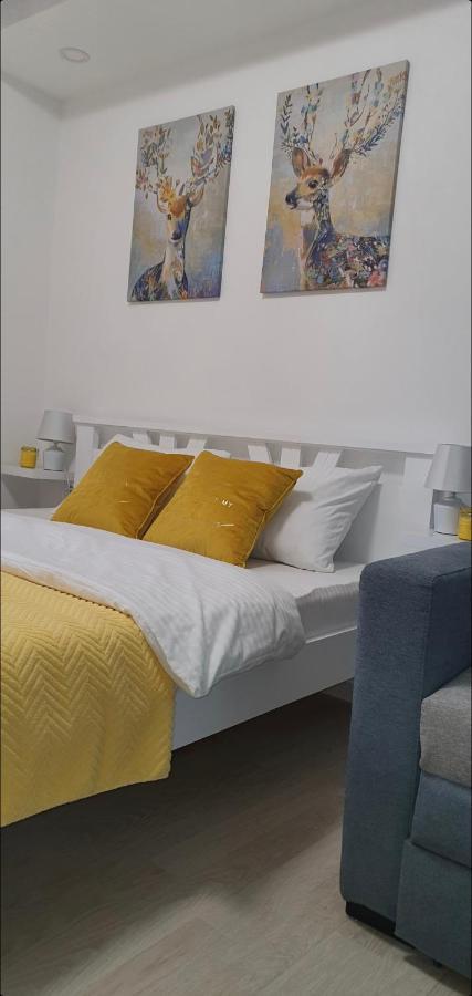 Apartman Iva Nova Varoš Exterior foto